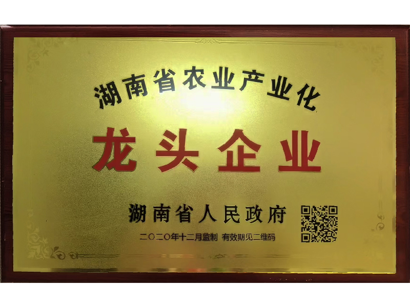 岳陽市漁之源食品有限公司,岳港漁都,洞庭魚港,散稱系列,田螺系列,臭豆腐加工，香豆腐加工，烤脖加工，魚仔,鴨排加工、雞丁加工代加工